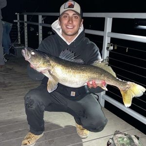 Meet your Posher, Henry